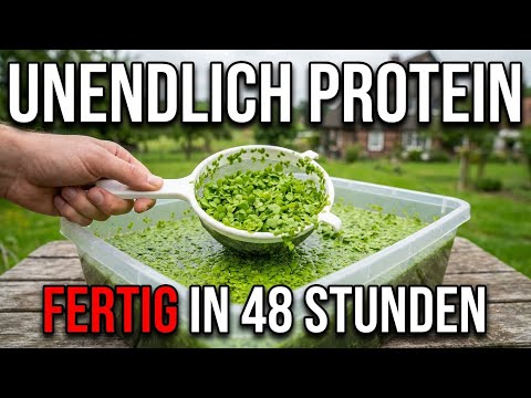 Unbegrenztes Protein im Eimer züchten. Verdoppelt sich alle 48 Stunden. Aufbau in 5 Minuten.