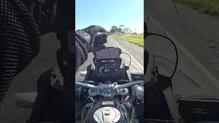 Passou na Faixa Contínua com a Pista VAZIA? É Multa do Mesmo Jeito! 😤 #shorts
