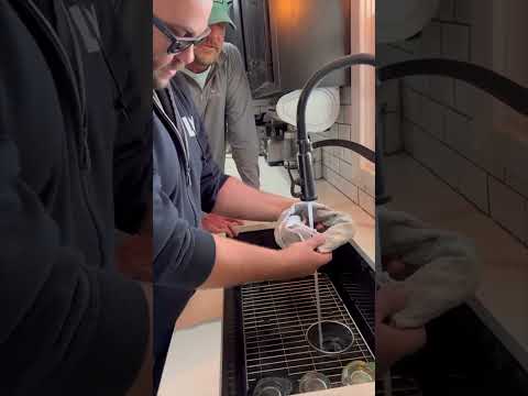 How to win the towel challenge revealed 😂