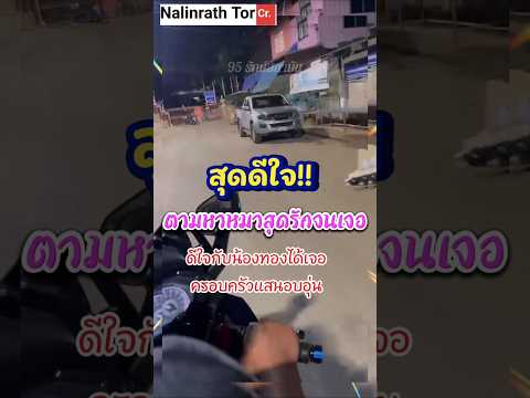 ดีใจ!!จนน้ำตาไหล เมื่อตามหาหมาสุดรักจนเจอ #น้ำท่วมหาดใหญ่ #น้องทอง #feedshorts #reels #หมา #ยอดนิยม