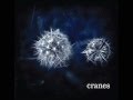CRANES - Panorama