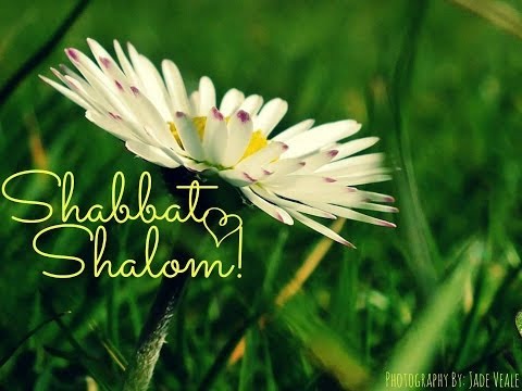 Shabbat Shalom 2014