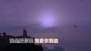 矜持 王菲 MV (Lyrics, KTV字幕)