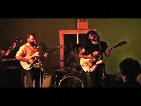 Hermit Thrushes-Ootheca live in Brooklyn, NY