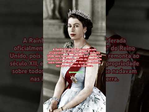 #shortvideo #filosofia #viralvideo #enem #ciencia #cortes #frases #historia