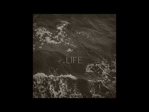 Zivert - Life  (Max Nalimov Blend)