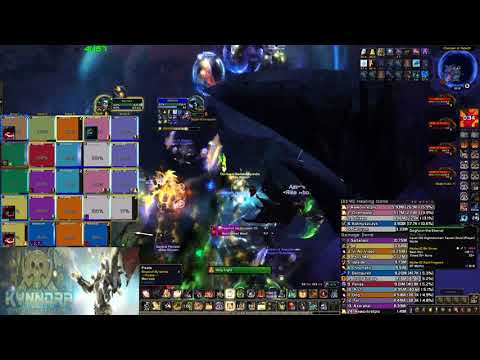 Rise Above vs Il'gynoth, Corruption Reborn Heroic - Holy Paladin PoV