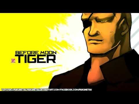 SF 25th Anniversary: Before Moon Tiger (SFEX2/SFII Mashup)