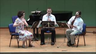 Kummer - Trio for Flute, Clarinet and Bassoon, Op. 32 - 1st mvt.