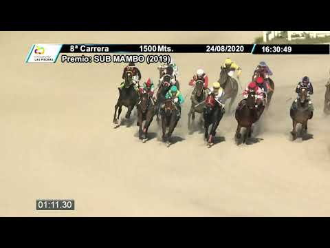 24/08/2020 – Hipodromo Las Piedras – Carr 8 – SUB MAMBO (2019)