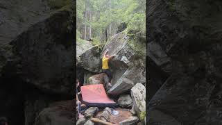 Video thumbnail de Punching tree, 7a. Magic Wood