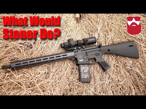 WWSD Carbine First Shots (What Would Stoner Do Carbine)