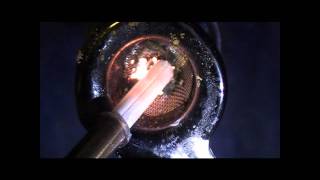 BBS - Curren$y (A Weed Video)