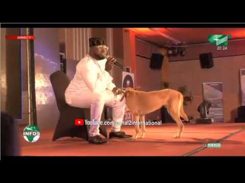 LE JOURNAL 19H50 du Lundi 21/10/2019 - Canal 2 international