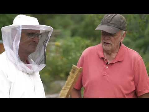 beeMOOC - Deine Ausrüstung