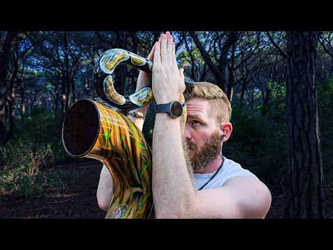 Didgeridoo Effects That Sound Unreal - "Ear Candy" | Strawberry Man (2025)