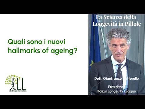 Gianfranco Vettorello-5