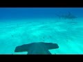 GoPro: Hammerhead Fin Cam in 4K