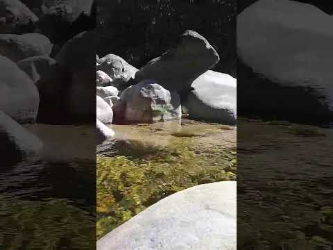 Parque Nacional Serra dos Órgãos, Teresópolis RJ #rj