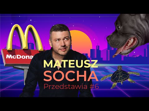 Mateusz Socha przedstawia #6 - Pitbull, kradzież doskonała, żółw w majtach