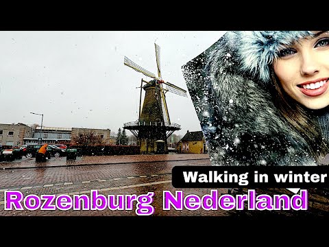 Walking in SNOWY Rozenburg, WINTER WALK ⛄️ | The Netherlands 4K Relaxing sounds
