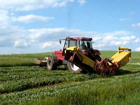 Christoph mäht in Freienhagen