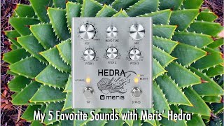 Video thumbnail for My 5 Favorite Sounds with Meris' Hedra by Brett Wondrak