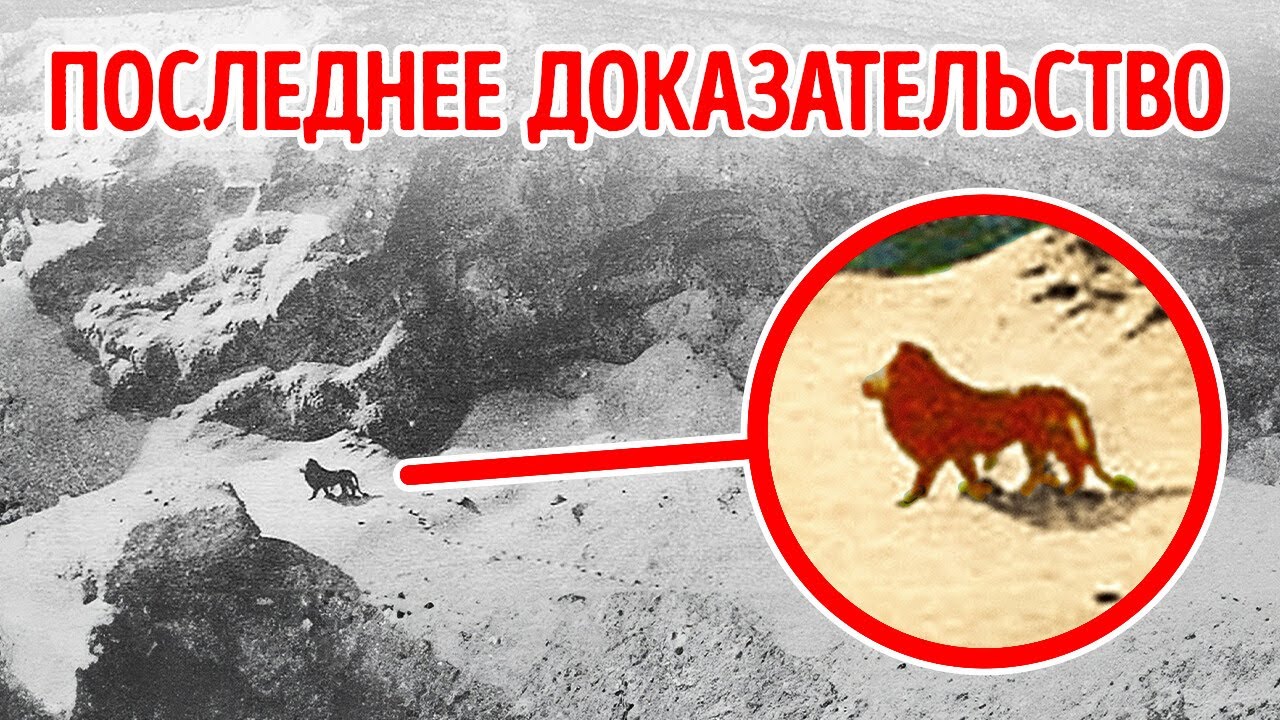 Последние встречи с вымершими видами