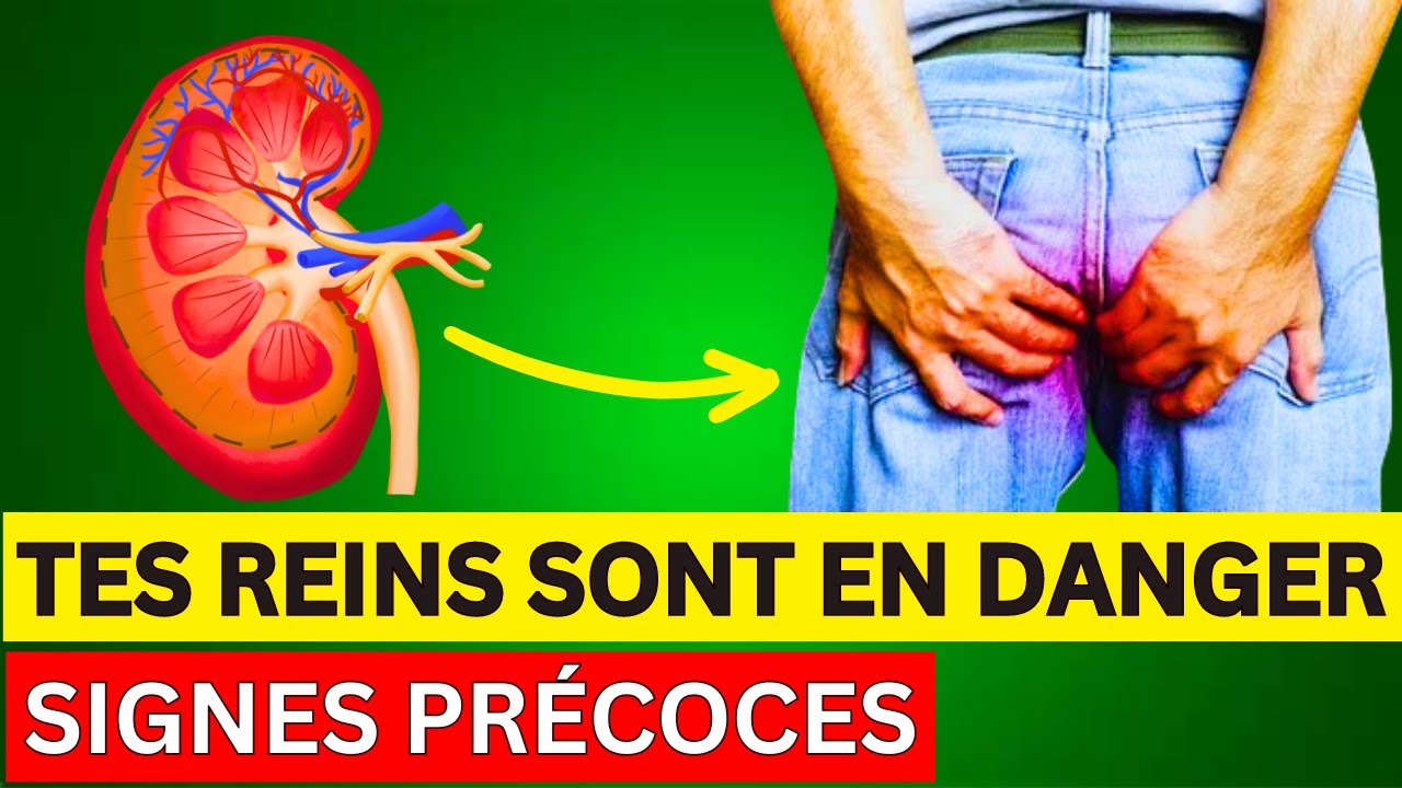 12 Signes Silencieux de Reins Toxiques à Ne Pas Ignorer