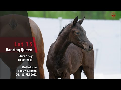 Fohlen-Auktion 26. - 30. Mai Lot 15 Dancing Queen Stute v. Despacito - Scuderia