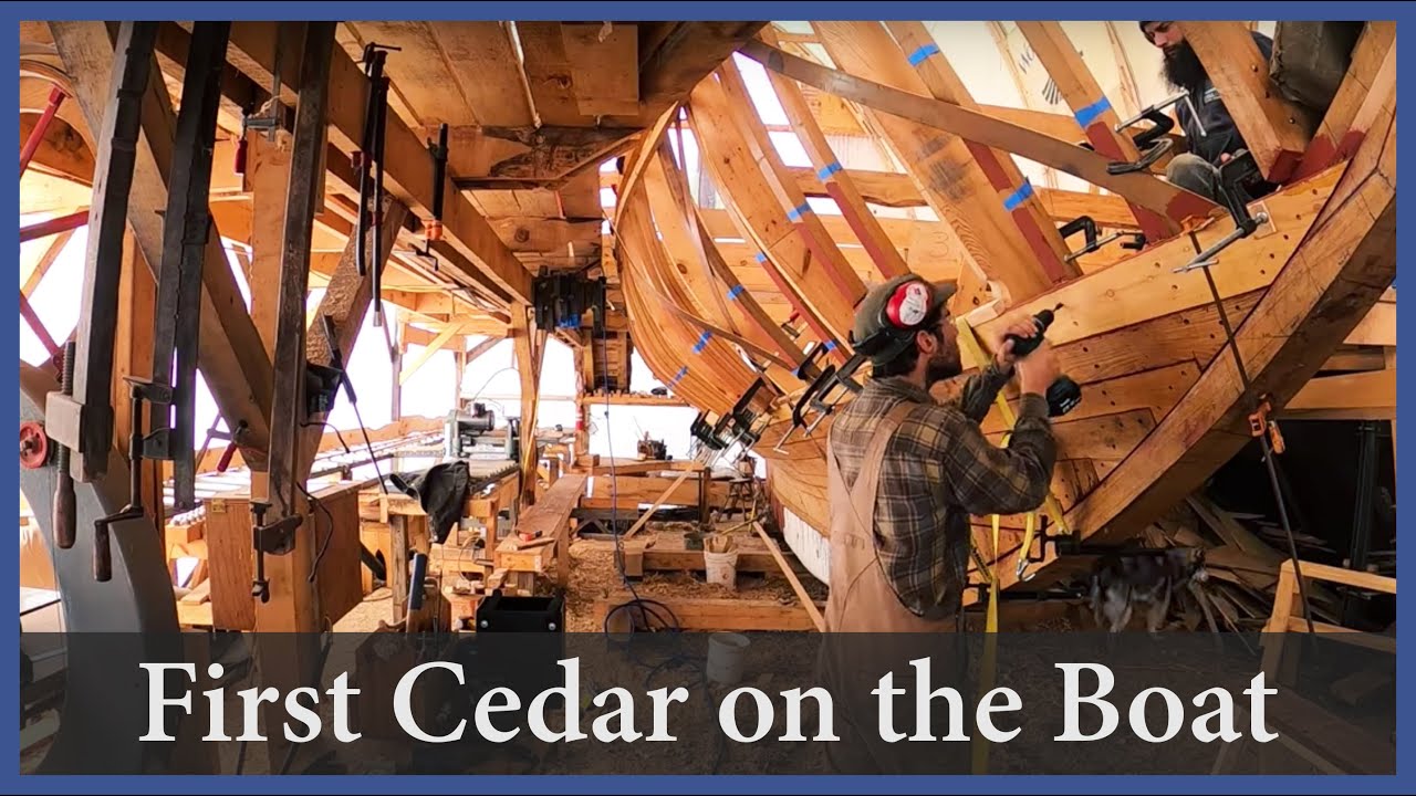 Acorn to Arabella - Journey of a Wooden Boat - Episode 108: The First Cedar on the Boat