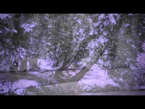 074 Concerto for French Oboe.mov