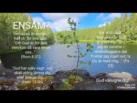 ENSAM OCH RÄDD?? | Uppmuntran från Guds ord. | Obs: Läs texten i beskrivningen! Gud välsigne dig!
