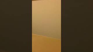 The Calm Before the Storm?