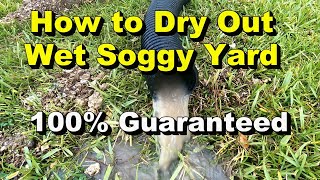 How to Dry Out Wet Soggy Yard - 100% Guaranteed