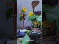 Shubh Somwar Status Video ️ Mahadev Status Video Bholenath Status Shorts Mahadevstatus