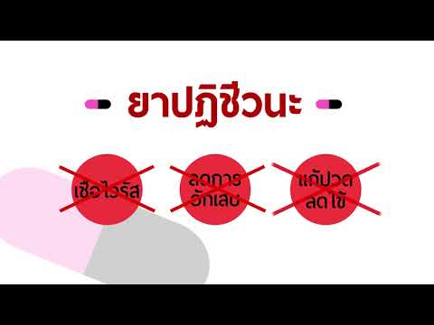 เพิ่มเป็นเพื่อนสนิทสำหรับสมาชิกที่มีขนาดเล็ก ความดันโลหิตและความแข็งแรง