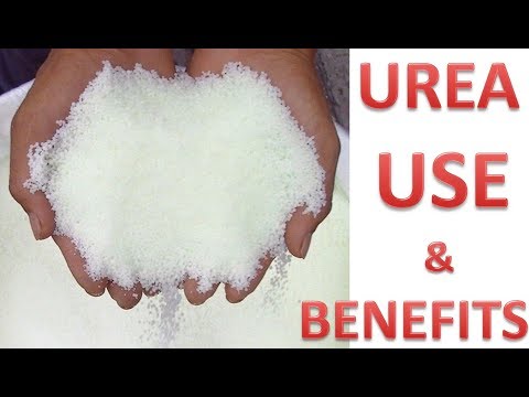 Uses and benefits of urea and how its work