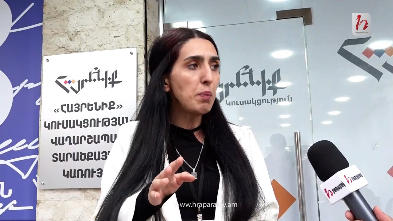 Տաթև Վիրաբյանը՝ անցնող օրվա, ակնկալիքների, արձանագրված խախտումների մասին