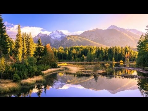 MEDIUM- Zahučali hory ( live záznam )