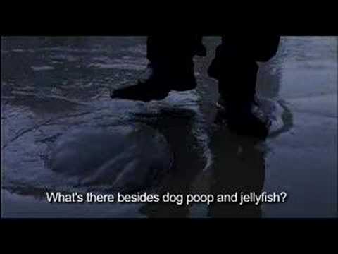 Jellyfish (2007) Official Trailer