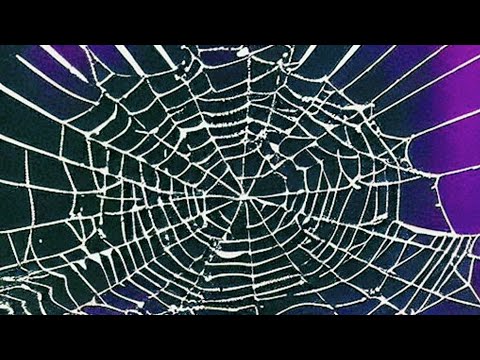 Video thumbnail auYx0Qbssr4