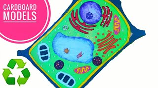 How To Make Trredy Plantcell Watch HD Mp4 Videos Download Free How To Make Trredy Plantcell Watch HD Mp4 Videos Download Free