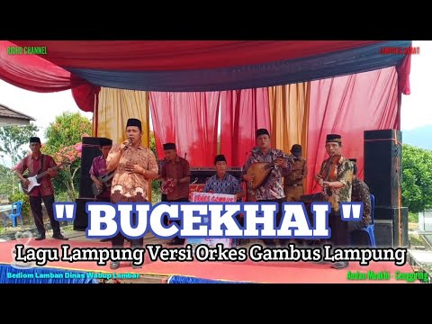 BUCEKHAI | LAGU LAMPUNG TUMBAI | ORKES GAMBUS LAMPUNG | ANDAH MUAKHI | RIDHO CHANNEL | LIWA