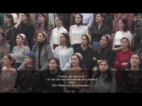 Grup coral - Întoarce-te la dragostea dintâi