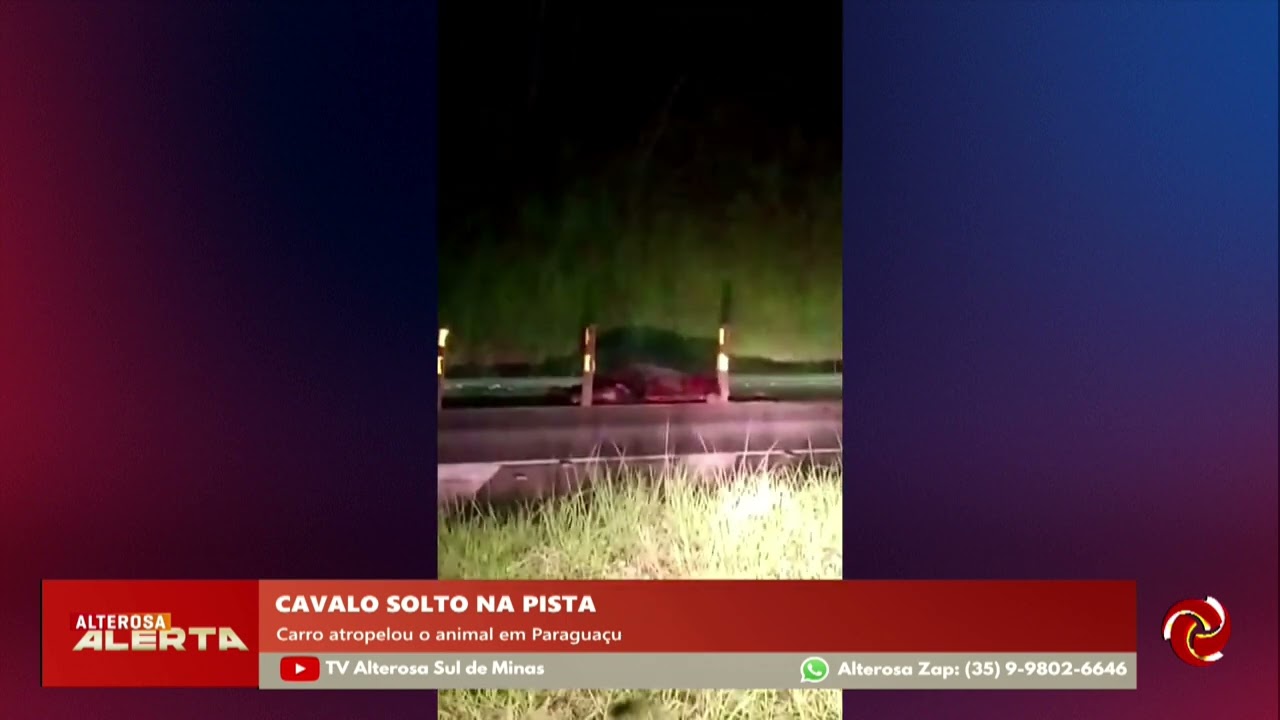 Cavalo na pista provoca grave acidente em Paraguaçu