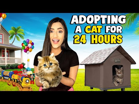 I Adopted A CAT For 24 Hours Challenge *Emotional* 😭 | SAMREEN ALI