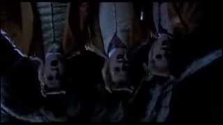 Wind In The Willows / Mr Toad&#39;s Wild Ride - Secret Of Survival