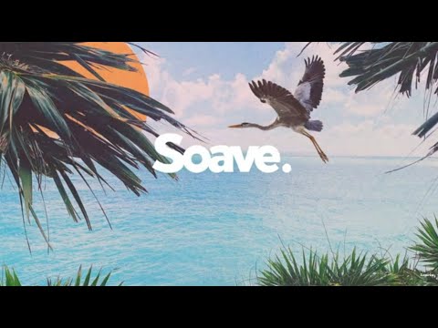 Yann Muller, Fex & Motik - Circuit (ft. Adam Woods)