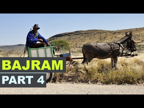 BAJRAM (PART 4) - Funny Videos Compilation 😂🔥